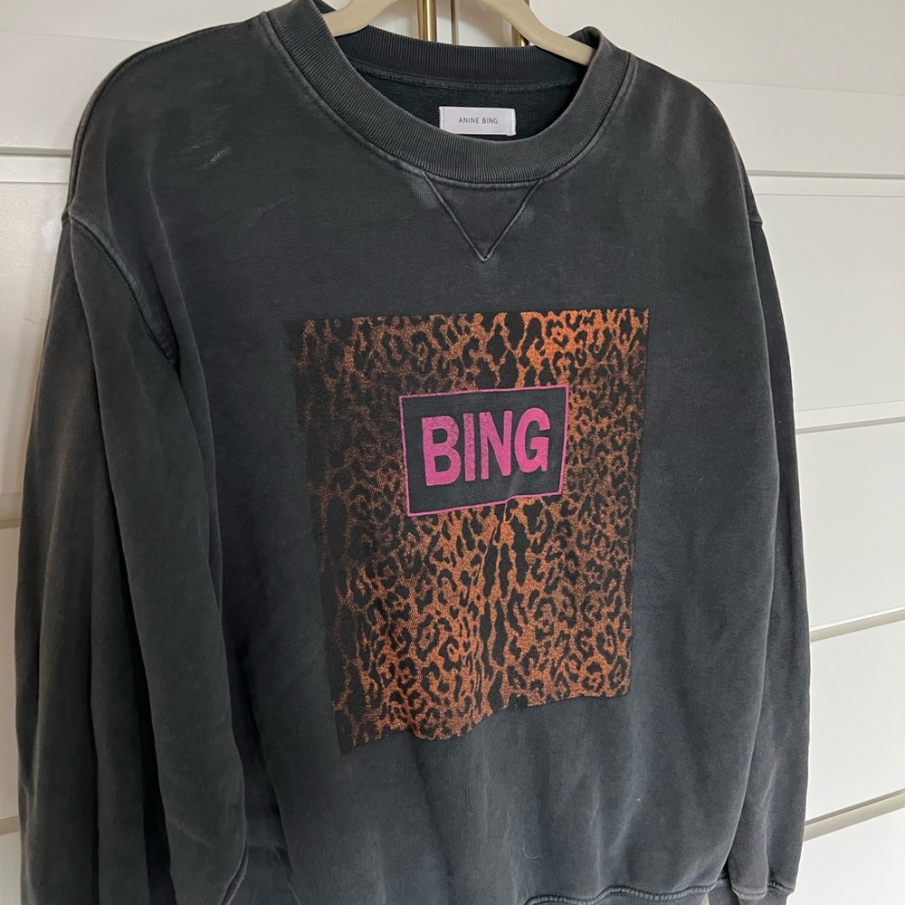 Anine bing sweatshirt